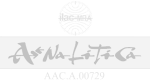 Analitica aac 13